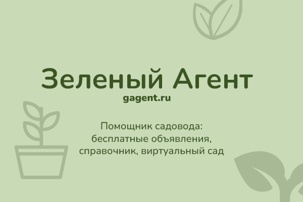 Зеленый агент - помощник садовода